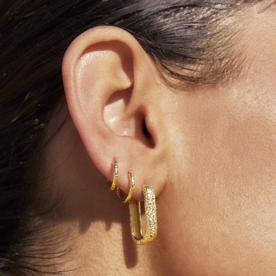 Arms of Eve Farrah Gold Link Earrings | Earrings