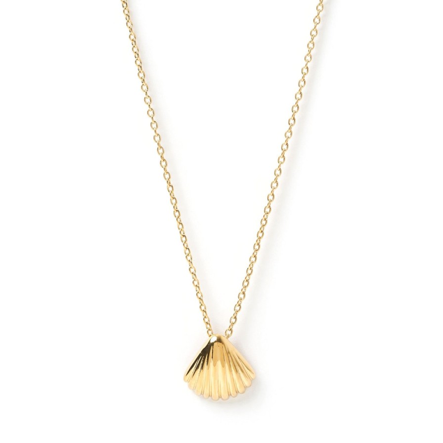 Arms of Eve Perla Gold Shell Necklace | Necklaces