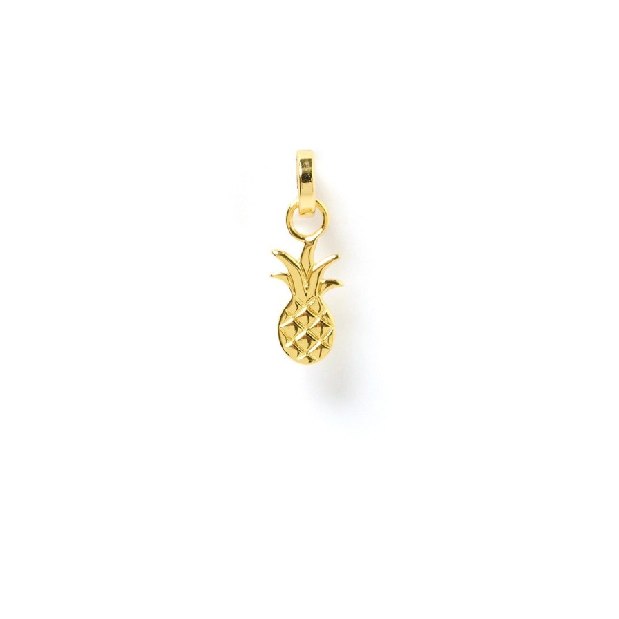 Arms of Eve Ananas Charm | Charms