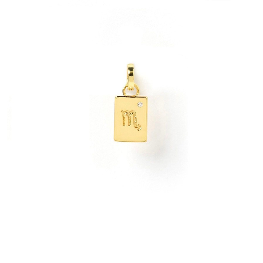 Arms of Eve Zodiac Tag Charm | Charms