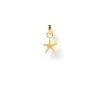 Arms of Eve Sea Star Charm | Charms